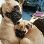 Emma - @emma.tester - Instagram