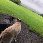 Emma Thacker - @thacker.emma - Instagram