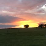 Emma Thurlow - @thurlow331 - Instagram