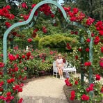 Emma Thurlow - Facebook