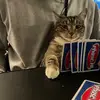 Emma - @emmatipton17 - TikTok