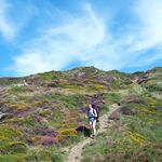 Emma Tipton - @emmatiptonwellbeing - Instagram