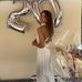 Emma Trahan - Facebook