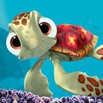 Emma Trowbridge - @sea_turtle_girl1 - Instagram