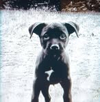 Emma Tuttle Davis - Facebook