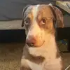 Emma - @emmavaill - TikTok