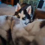 Emma Waggoner - @emma_waggoner13 - Instagram