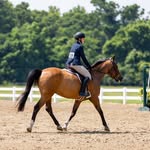 Emma Lee Elizabeth Ware - @emmaware_eq - Instagram