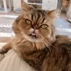 Emma weeks - @emmaweeks44 - TikTok