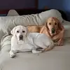 emmaweeks6868 - @emmaweeks6868 - TikTok
