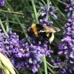 Emma Wigmore - @wigmore.emma - Instagram