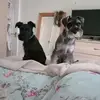 Emma Wigmore - @emma.wigmore2 - TikTok