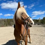 Emma Wiklund Hemming - @emma_wiklund_ - Instagram