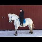 Emma Wiklund Hemming - @emmawiklundhemming - Instagram