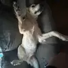 Emma Wiles - @emmaw.2774 - TikTok