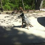 emma winger - @jolly_rancher_queen - Instagram