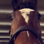 Emma - @emma_winkelmam - Instagram