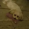 emma winkel - @emmawin4t - TikTok