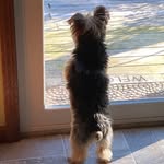 Emma Wirth - @dino_saur6089 - Instagram