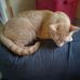Emma Worrell - Facebook