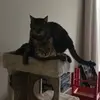 Emma Xander - @scharrie4 - TikTok