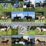 Backup - @e.mmayardleyphotography - Instagram