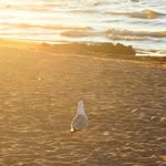 Emma Youngman - @emmayphotography - Instagram