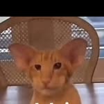Emmanuel abram - @emmanuelabram9 - Instagram