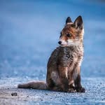 Emmanuel Afari Boafo - @afari5059 - Instagram