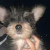 Emmanuel - @emmanuel_baeza - TikTok