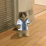 Emmanuel Barrientos - @emmanuel.barrientos06 - Instagram