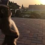 Emmanuel Barron - @emmanuek.1b - Instagram