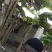Emmanuel Blay - Facebook