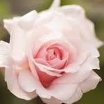 Emmanuel - @emman_uelboyd - Instagram