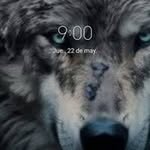 Cantu Pereyra Emmanuel - @emmanuelcantupereyra - Instagram