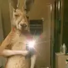 Emmanuel Choco - @emmanuelchoco66 - TikTok