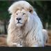 Emmanuel Clark - Facebook
