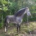 Emmanuel Class - Facebook