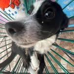 Emmanuel Clemente - @emmclez - Instagram