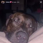 Emmanuel Cobb - Facebook