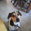 Emmanuelle Manu Corn - @emmanuellemanucornet - TikTok
