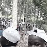 Emmanuel CURRY - @emmanuelcurry7 - Instagram