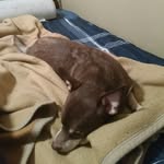 Emmanuel Daugherty - @emmanueldaughert - Instagram