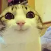 emmanueldaugherty - @emmanueldaugherty - TikTok
