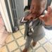 Emmanuel Decius - Facebook