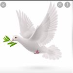 Emmanuel Dodoo - @emmanuel.dodoo.334 - Instagram