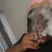 Emmanuel Howard - Facebook