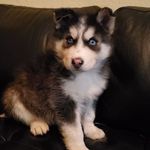 Emmanuel Limon - @emmanuel.limon.5205 - Instagram