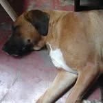 emmanuel josue machado lujan - @emmanueljosuemachadolujan - Instagram
