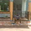 Emmanuel  mollel - @emmanuel.mollel26 - TikTok
